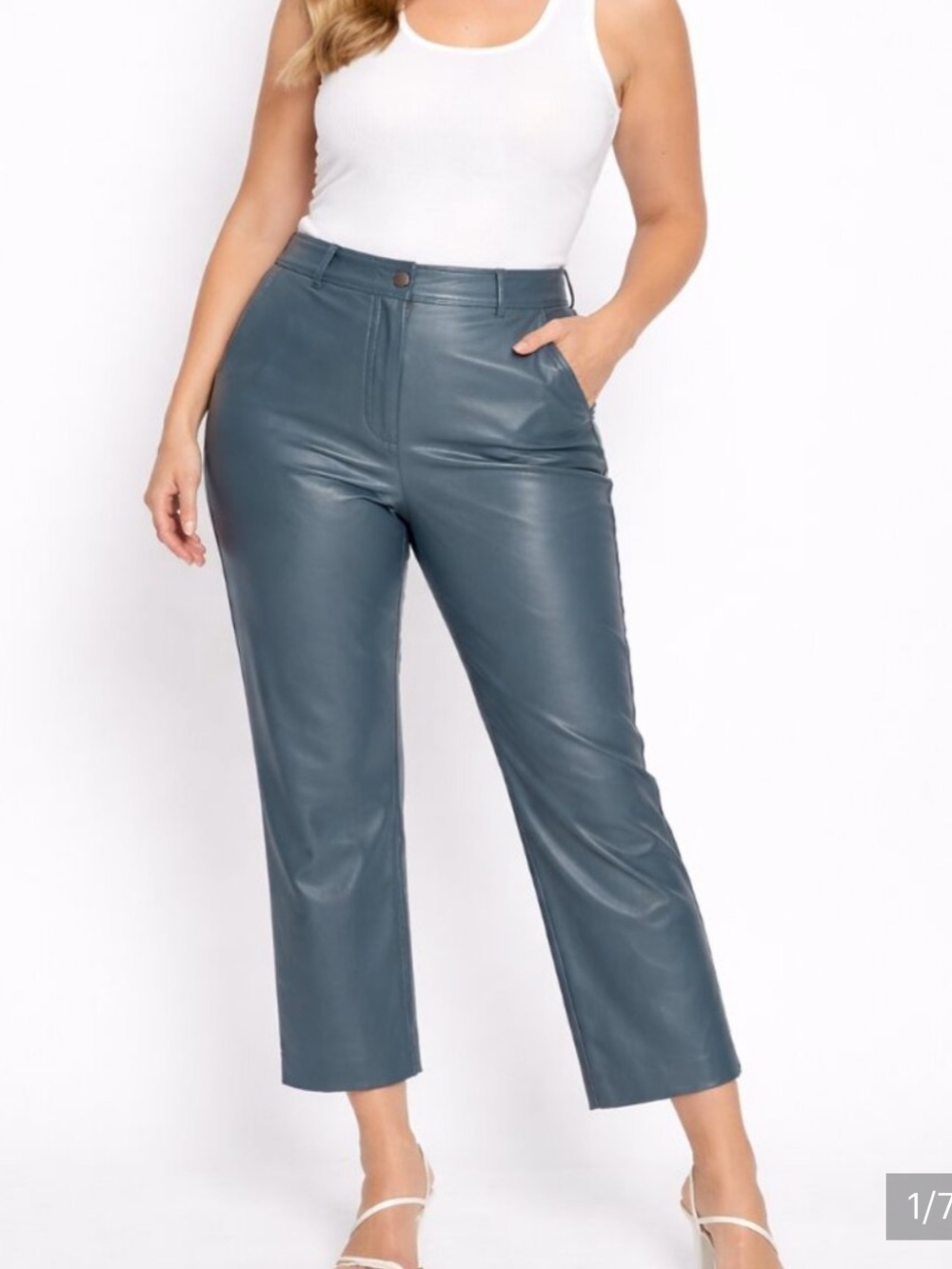 Aritzia Babaton Command Crop Pants